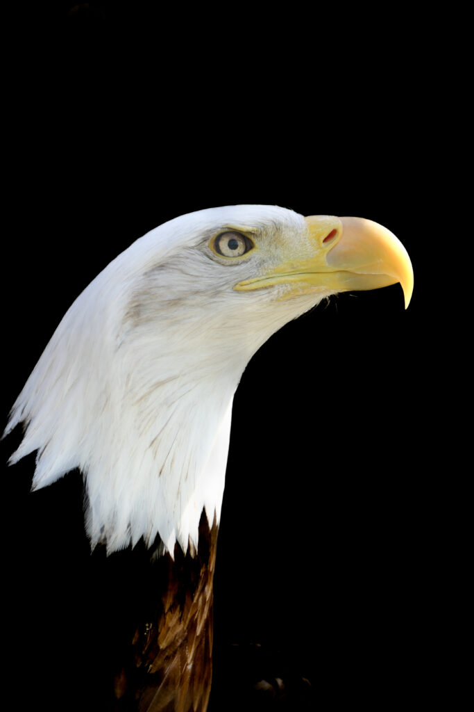 P1017560
