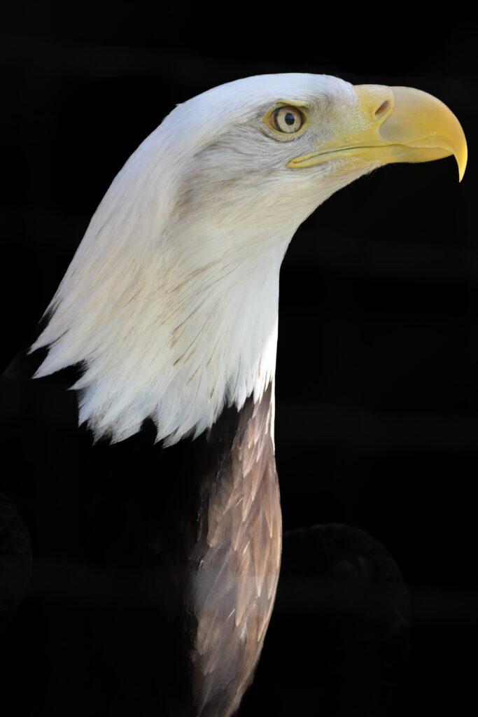 P1017564